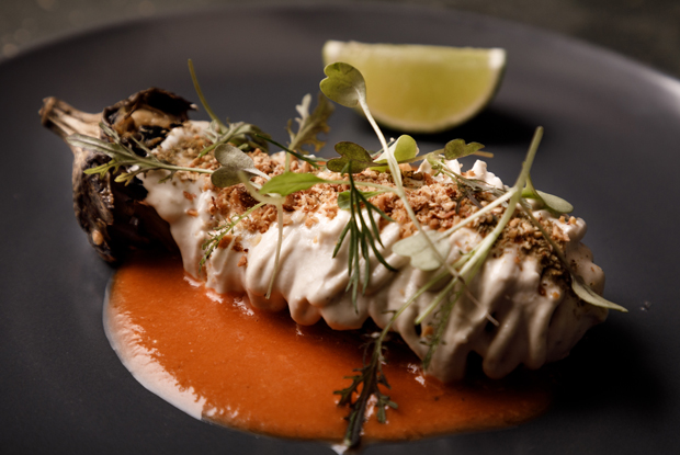 Mishiguene-LATAM-2018-DISH1